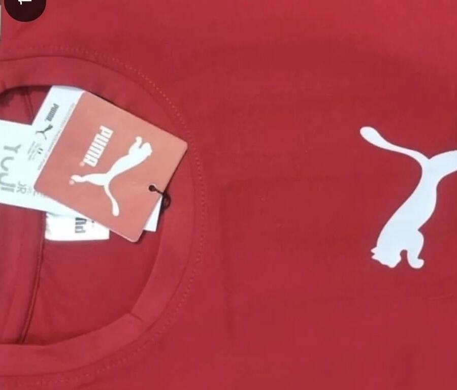 Puma Puma